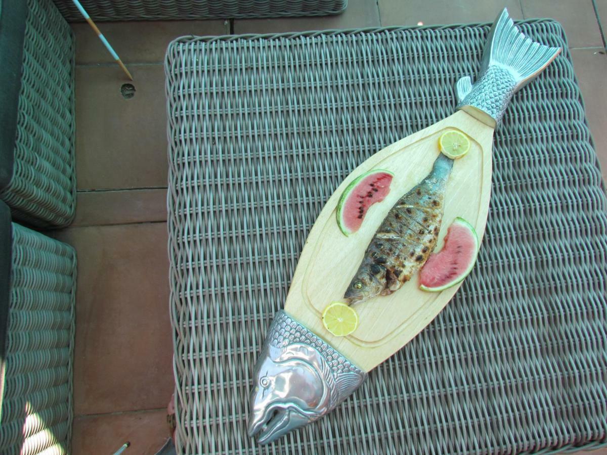 Nova Alofa Holiday Home Monchique Dış mekan fotoğraf